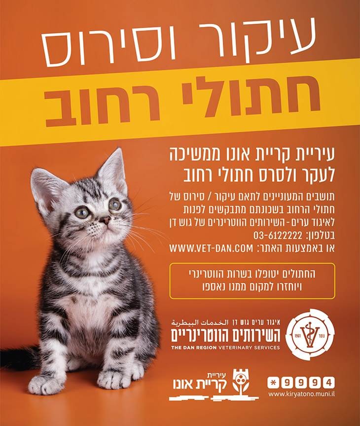 פלייר עיקור חתולים