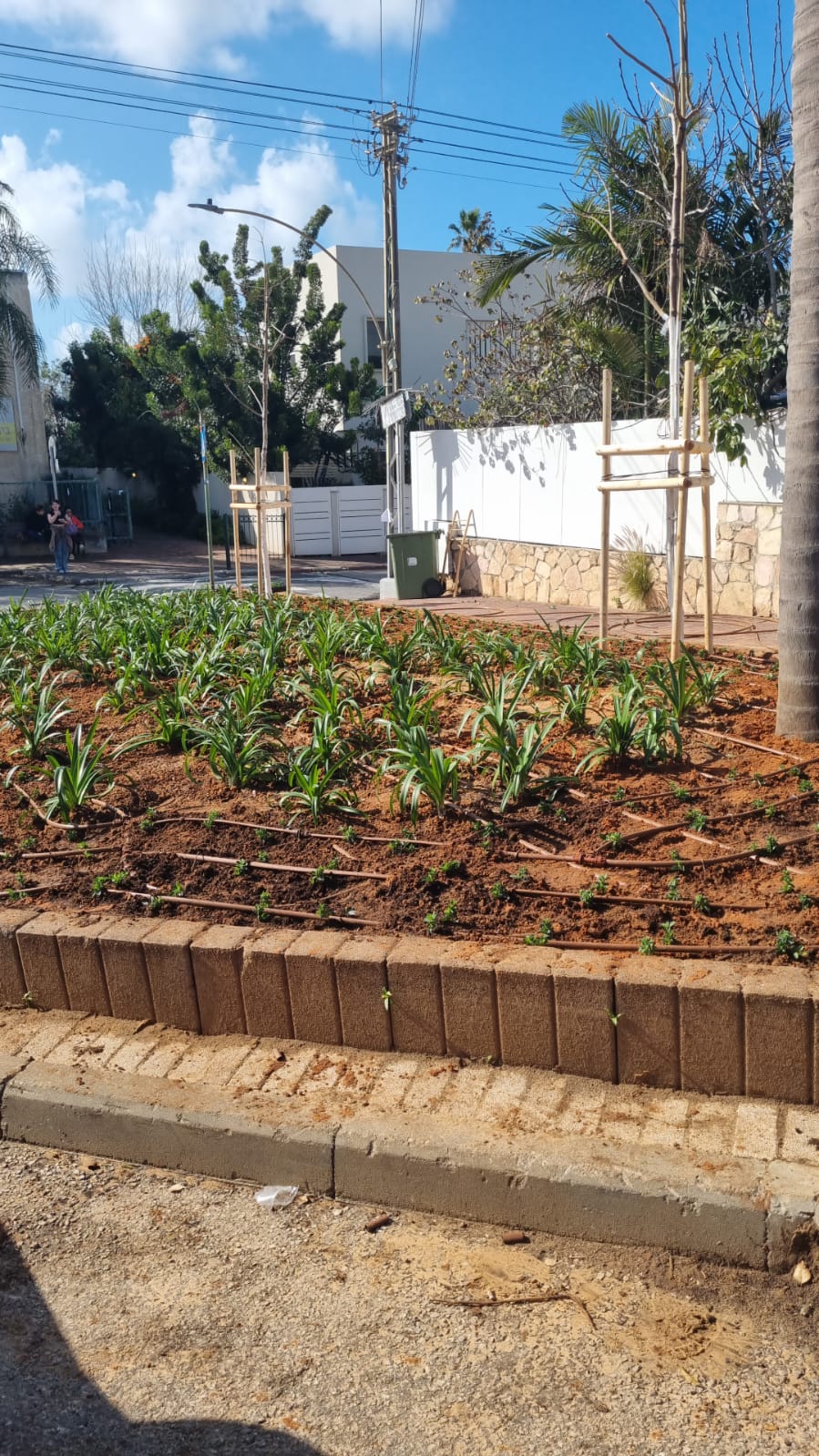 המרחב הציבורי סביב בית ספר ניר