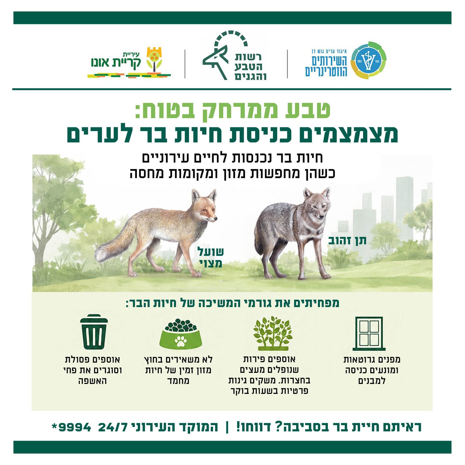 שועלים ותנים בקריית אונו – מידע חשוב לתושבים