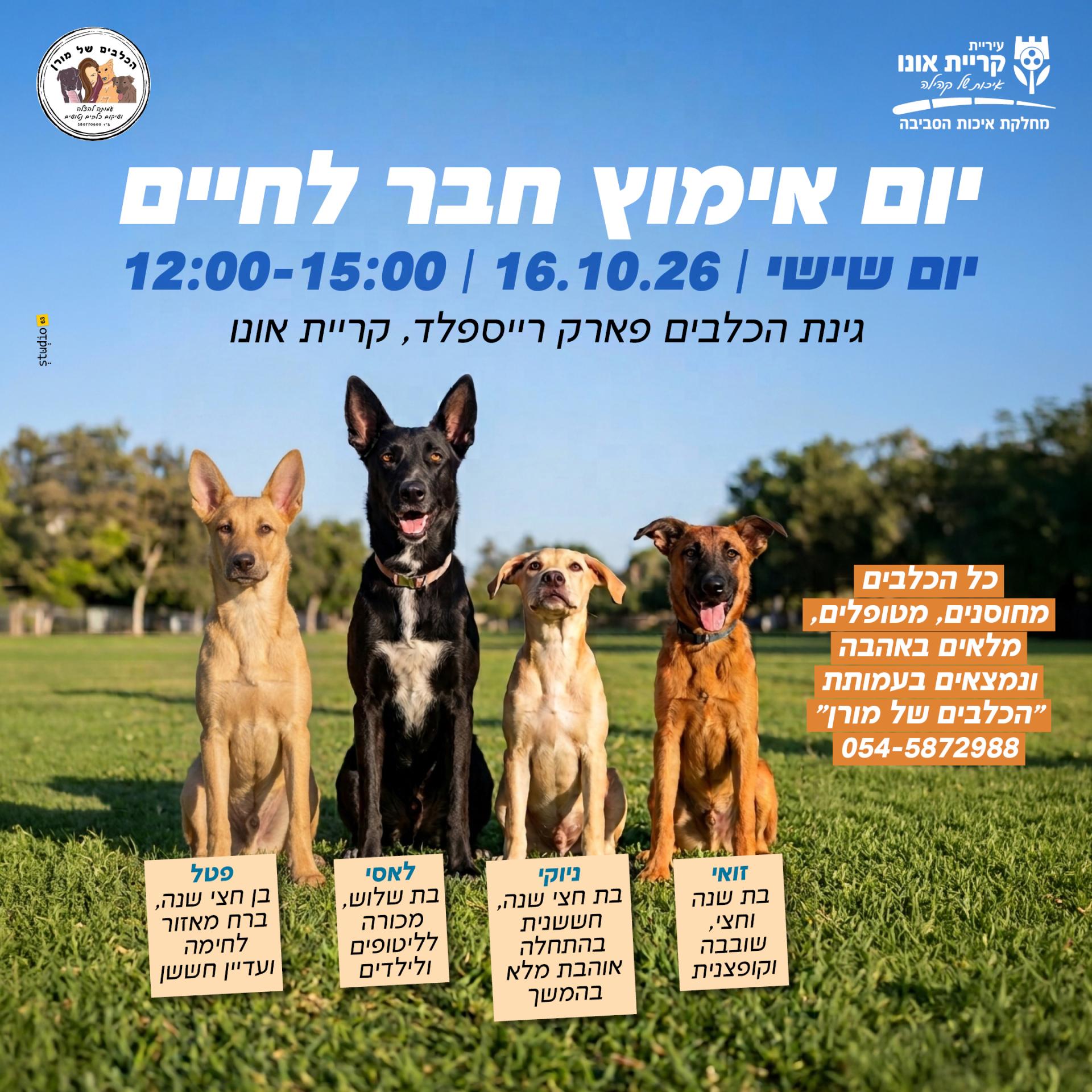 יום אימוץ כלבים בגינת הכלבים פארק רייספלד